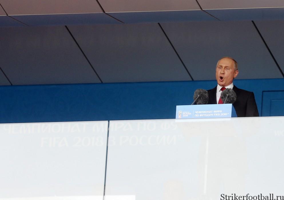 Владимир Путин не планирует посещать матч Россия – Египет